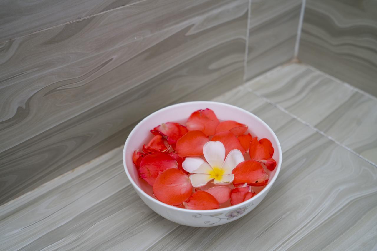 My House Hoi An Homestay Ngoại thất bức ảnh