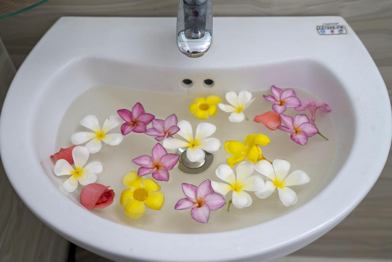 My House Hoi An Homestay Ngoại thất bức ảnh
