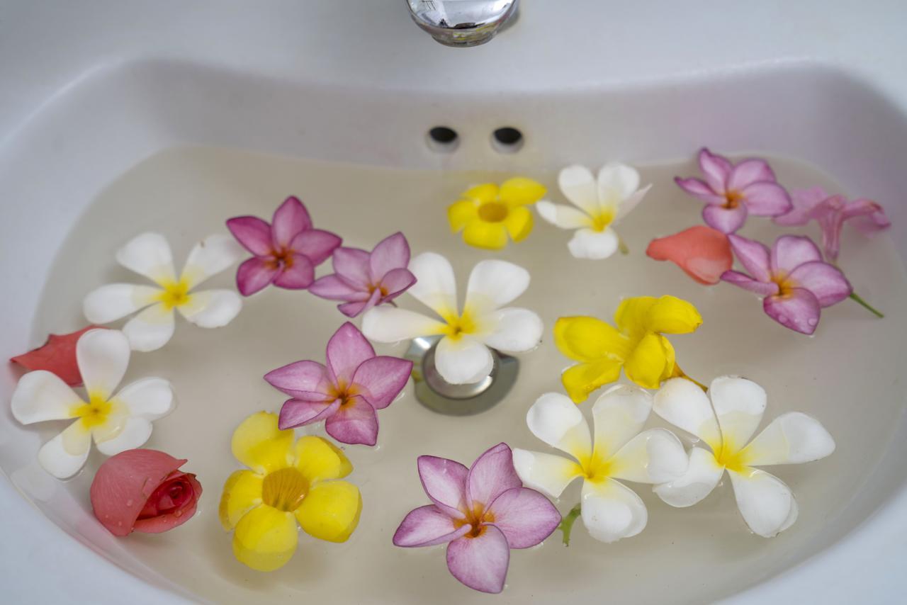 My House Hoi An Homestay Ngoại thất bức ảnh